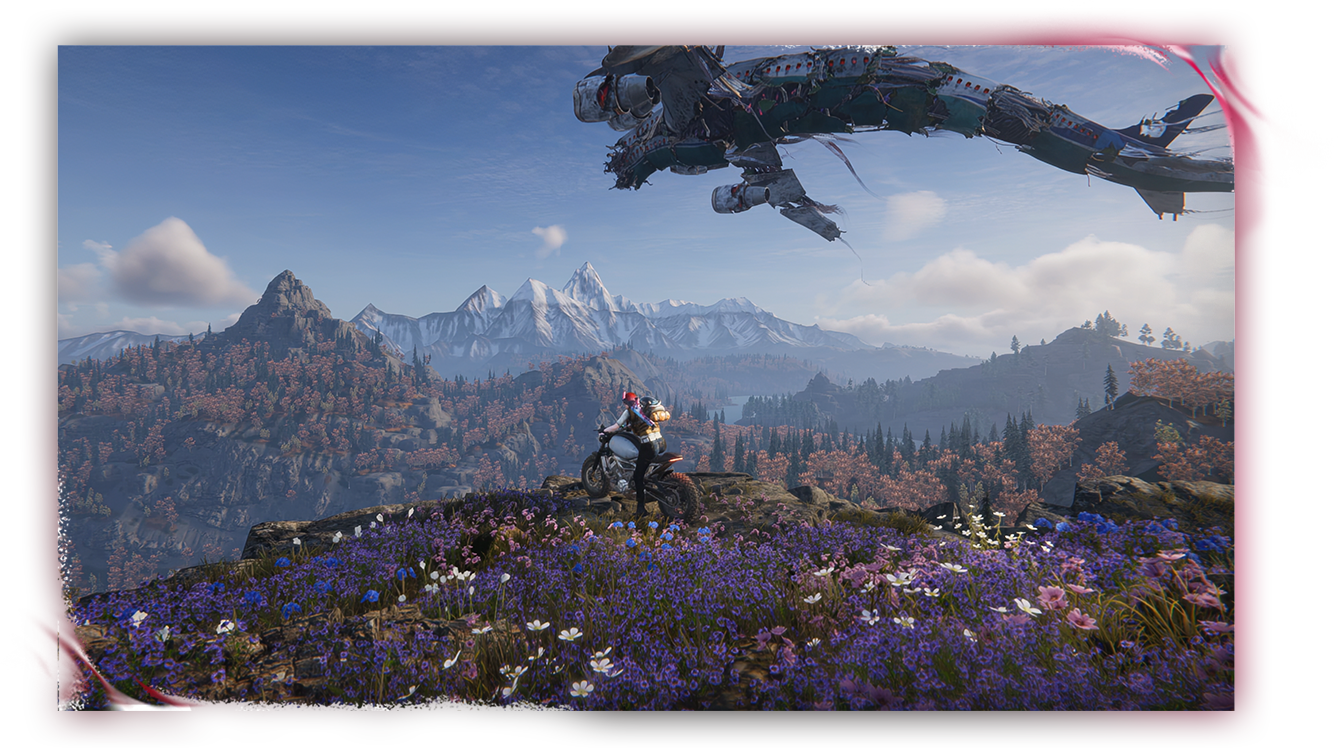 Play Solo or With Friends